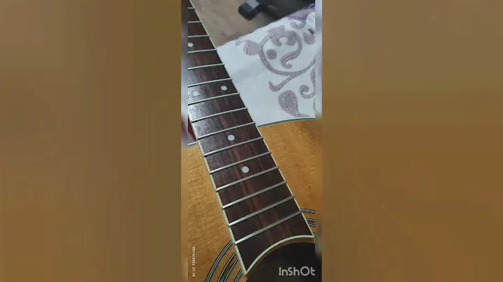 Greg Bennett Acoustic Guitar Fretboard Restoration