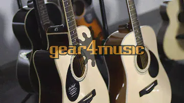 Greg Bennett Intermediate Guitars