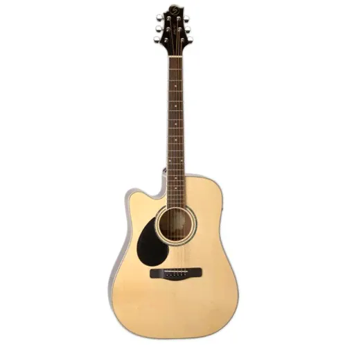 GREG BENNETT GREG BENNETT GD100SCE/LH/N-1