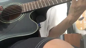 Greg Bennett Acoustic Guitar Demo Honestly